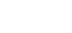 Vermod logo